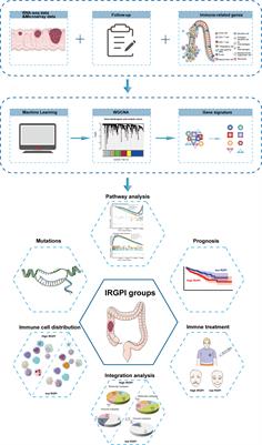 Identification of a Novel Immune Landscape Signature for Predicting Prognosis and Response of Colon Cancer to Immunotherapy